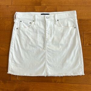 J Crew Skirt